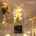 Creative Valentine's Day Gift Rose in Glass Cover Light Up