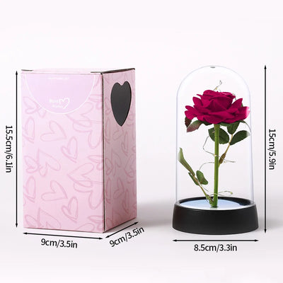 Creative Valentine's Day Gift Rose in Glass Cover Light Up