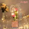 Creative Valentine's Day Gift Rose in Glass Cover Light Up