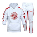 Autumn and Winter 2 Pcs Hoody Tracksuits