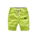 Summer Elastic Waist Short Pants For Boys