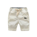 Summer Elastic Waist Short Pants For Boys