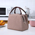 Portable Insulated Thermal Lunch Bags Food Picnic Bags Pouch  for Adults and Children