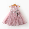 Tulle Lace Infant Party Dress