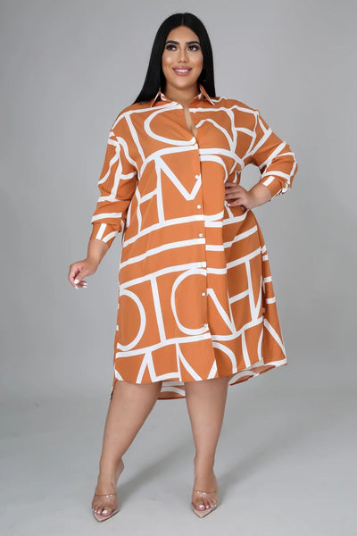 A-Line Plus Size Long Sleeve Loose Midi Dresses